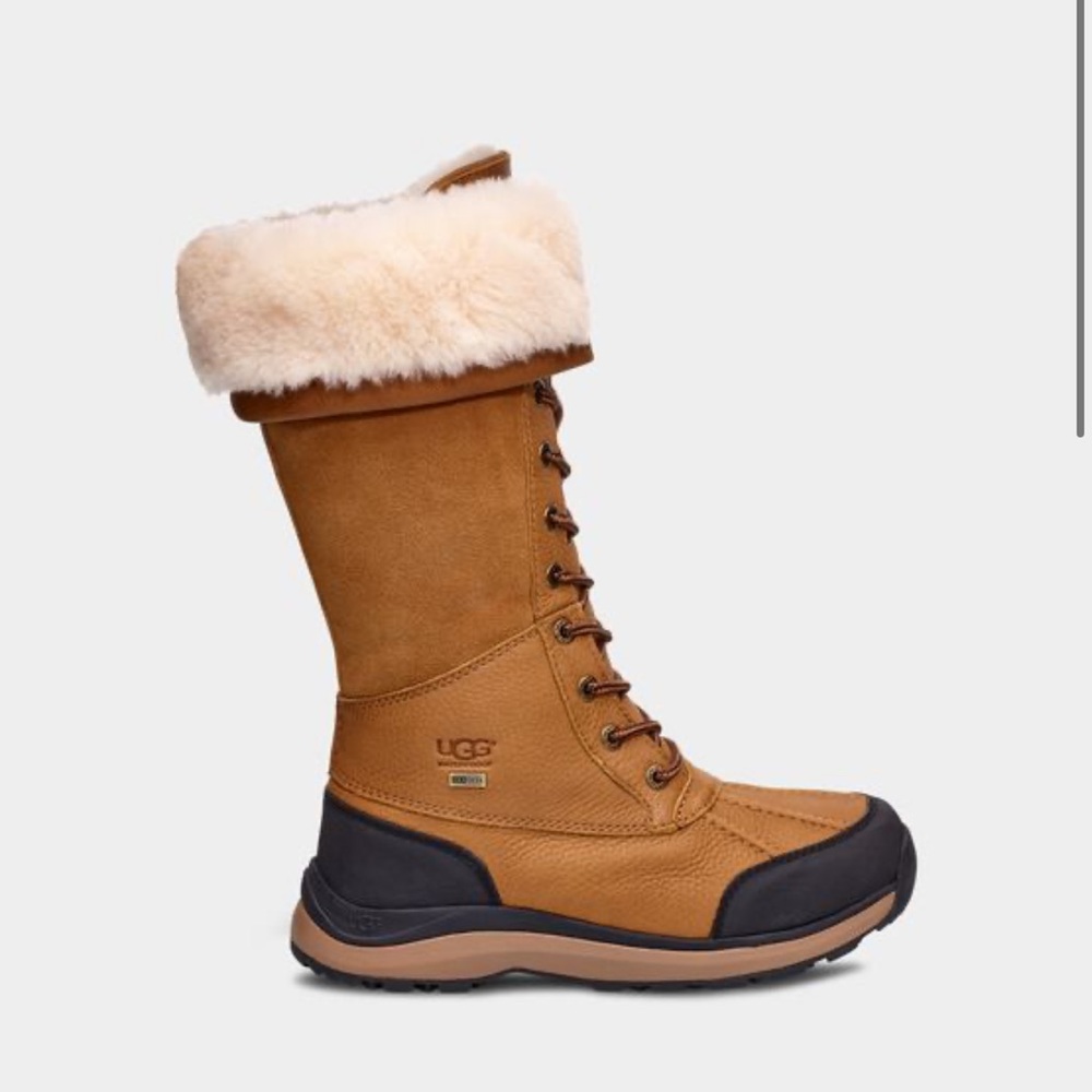 Adirondack III Tall Boot / Women/ 8 / with box